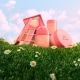Peach Collection