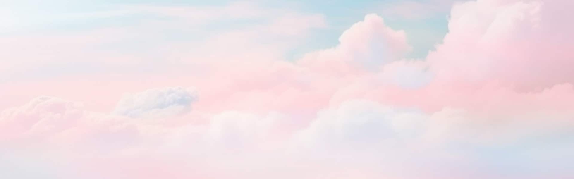 Holiday 2025 Gift Guide