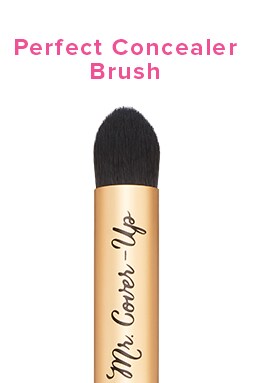 Mr. Cover Up Brush